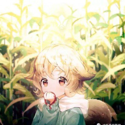 “十万头猪拱进沙漠治沙”是假的